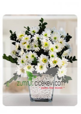 Konik Vazoda Beyaz Kır Çiçekleri